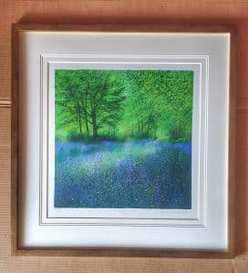 Bluebells in forest
